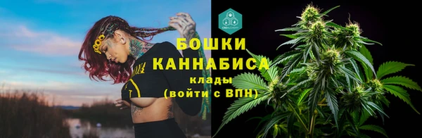 мяу мяу кристалл Гусь-Хрустальный