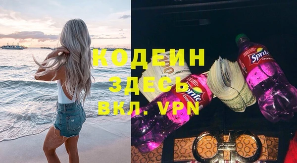 мяу мяу кристалл Гусь-Хрустальный