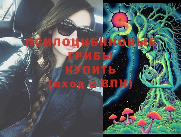 мяу мяу кристалл Гусь-Хрустальный