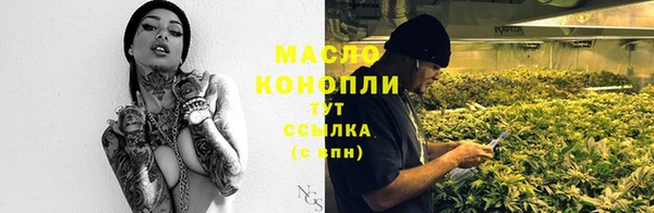 мяу мяу кристалл Гусь-Хрустальный