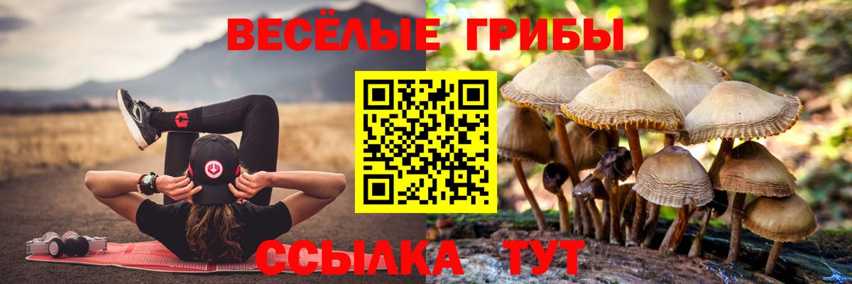 Канск  Галлюциногенные грибы Magic Shrooms  Галлюциногенные грибы Psilocybe  Вход с VPN 